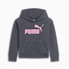 Core Pack No.1 Logo Little Kids' Hoodie, GALACTIC GREY, small