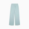 Зображення Puma Штани PREMIUM ESS Relaxed Sweatpants Women #7: Modern Mint