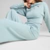 Зображення Puma Штани PREMIUM ESS Relaxed Sweatpants Women #5: Modern Mint